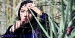 اکران فیلم سینمایی «ماهورا» از ۱۱ مهر پخش فیلم سینمایی «ماهورا» از ۱۱ مهر